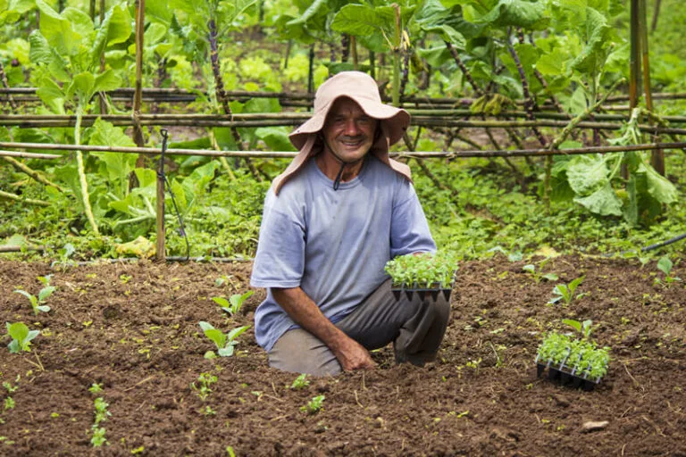 institucional-campus-estrutura-horta-02-768x512