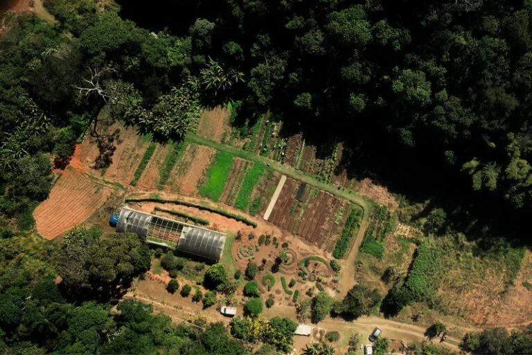 institucional-campus-estrutura-horta-10-768x512