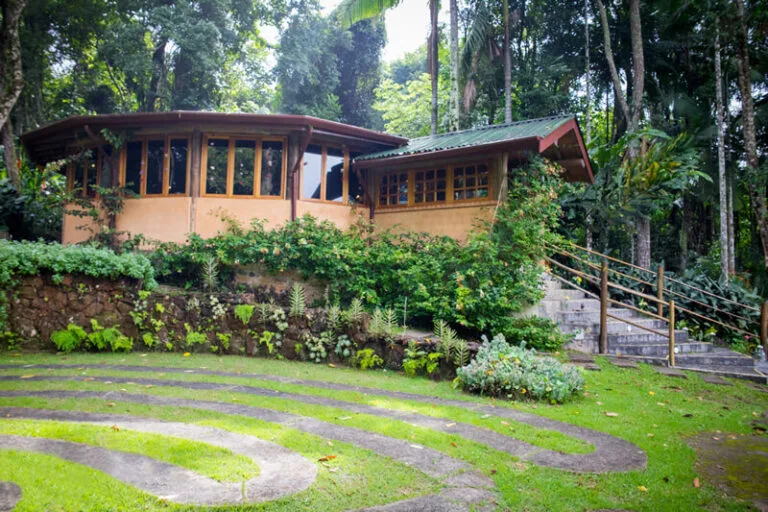 institucional-campus-estrutura-sala-da-mata-01-768x512