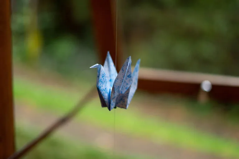 institucional-campus-estrutura-sala-da-mata-04-768x513