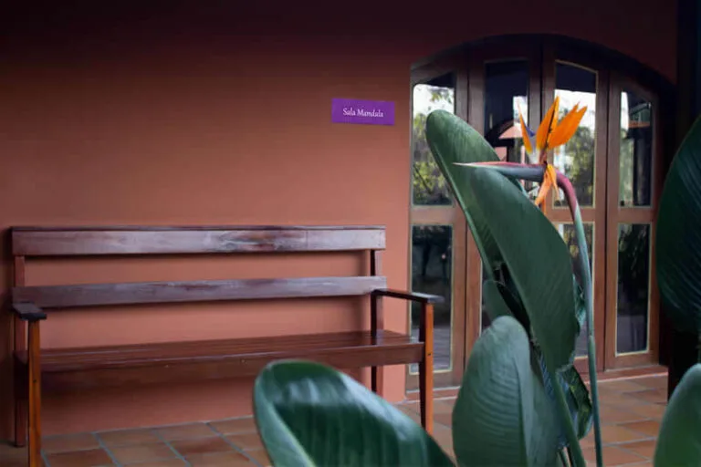 institucional-campus-estrutura-sala-mandala-02-768x512