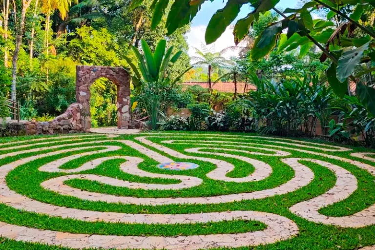 site-campus-labirinto-02-768x512