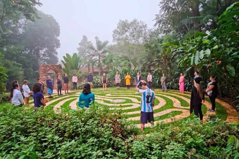 site-campus-labirinto-05-768x512