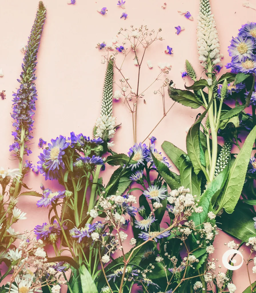 Uma vibrante composição de ervas e flores silvestres, incluindo folhas verdes e flores roxas.